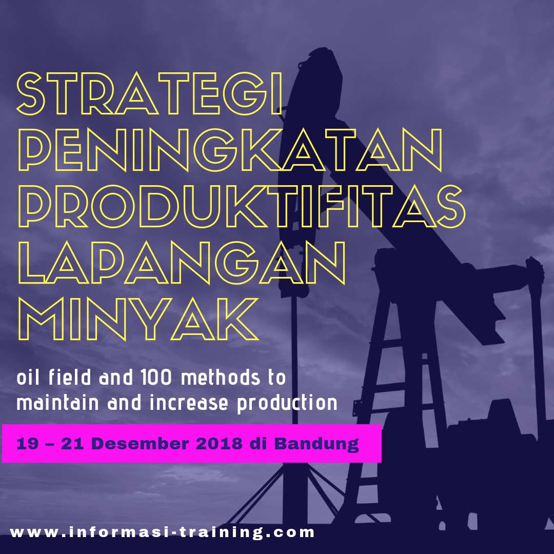 Strategi Peningkatan Produktivitas Lapangan Minyak